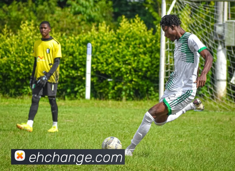 App Interface Preview